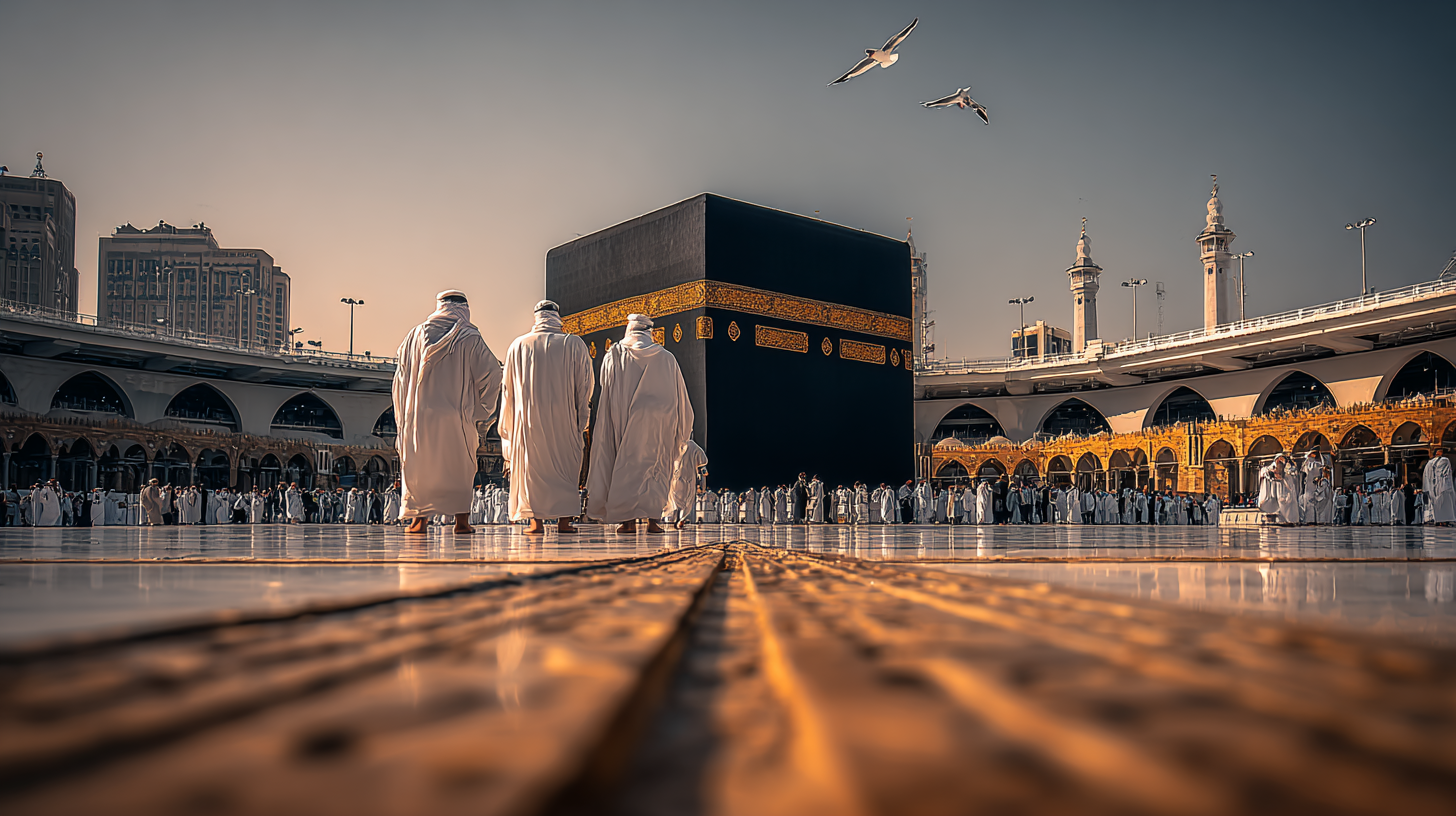 the knowledge platform (7)